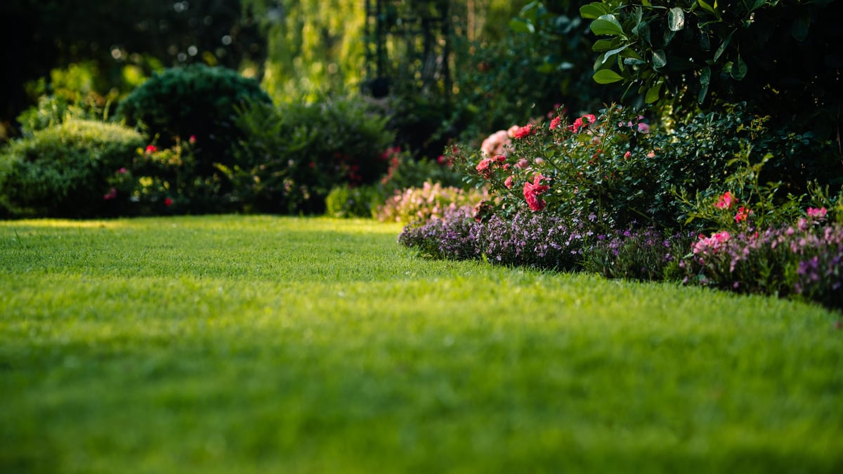 Green grass lawn with blooming flower bushes in a landscaped garden